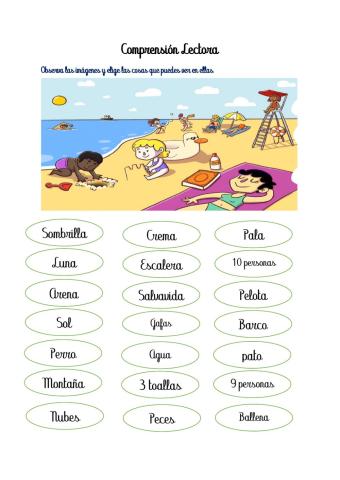 Comprensión Lectora