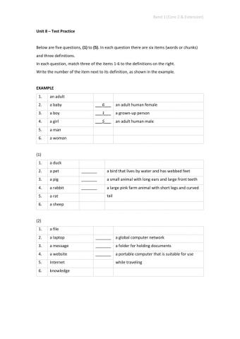 Band 1 (Core 2 & Extension) - Unit 8 - Test