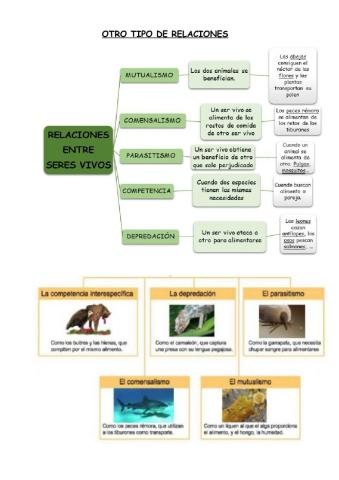 Tipo de relaciones entre los seres vivos