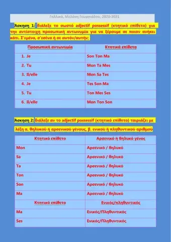 Adjectifs Possessifs du Singulier
