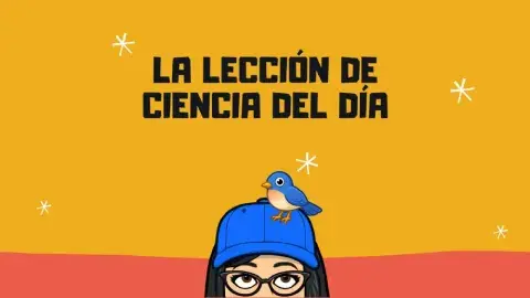 Animales de las yungas