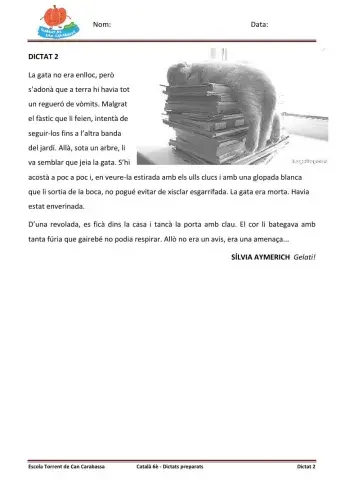 02 Dictat 6è