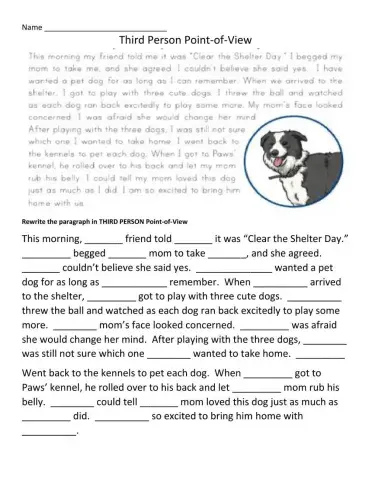 Third person point-of-view