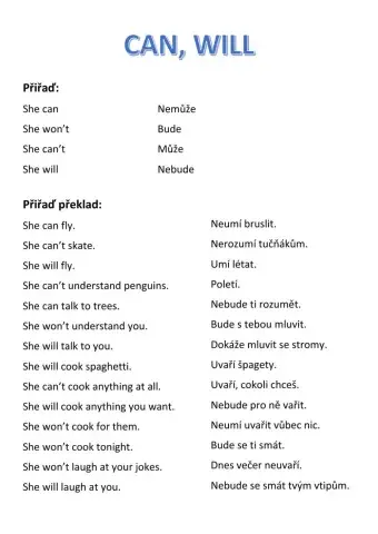 CAN and WILL with Czech