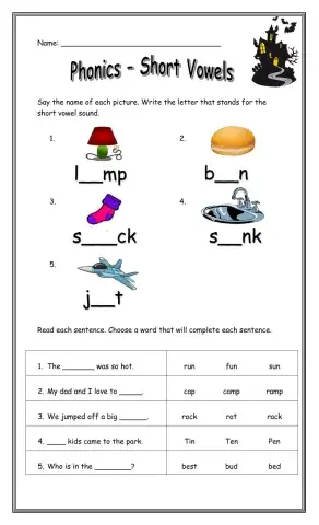 Phonics - Vowels Review