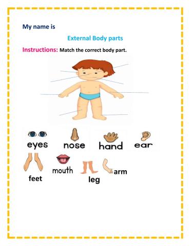 External Body Parts