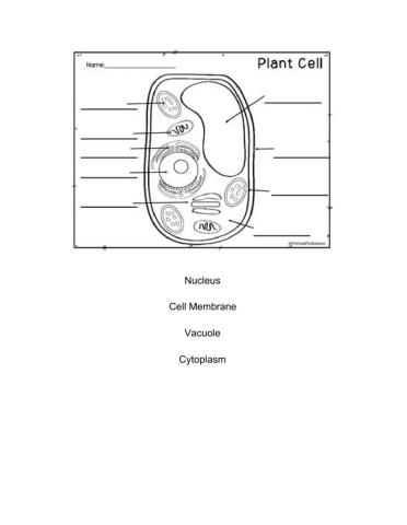 Cell Parts