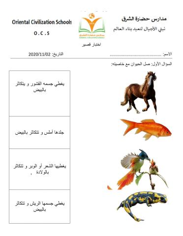 اختبار في درس الحيوانات و الفطريات