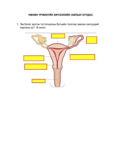 B. Oyunchimeg  Daalgavar -4