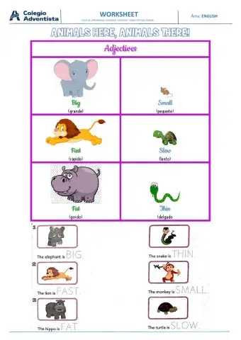 Adjectives big, small,fast, slow, thin, fat