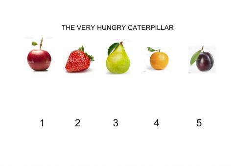 The Veery Hungry Caterpillar