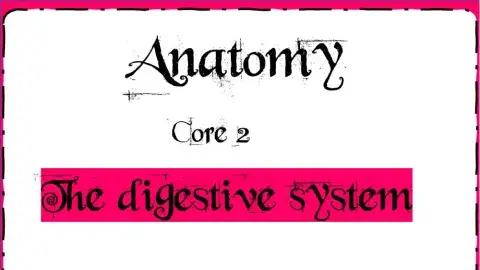 Human anatomy - week-36