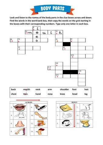 Body Parts Crosswords