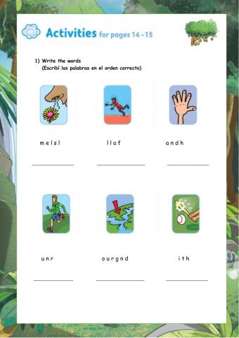 Rainforest Rescue  6