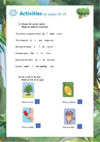 Rainforest Rescue  8