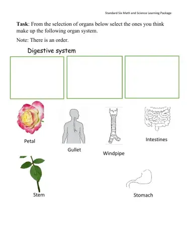 Organ systems