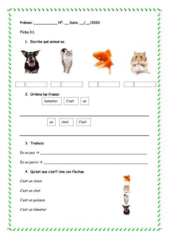 Ficha 3.1 4º