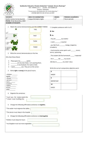 Final exam third period 11