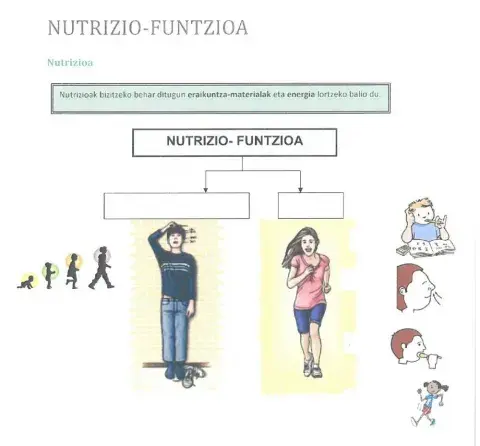 Nutrizio funtzioa
