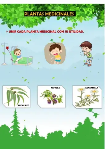 Plantas medicinales