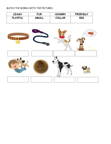 VOCABULARY related to pets