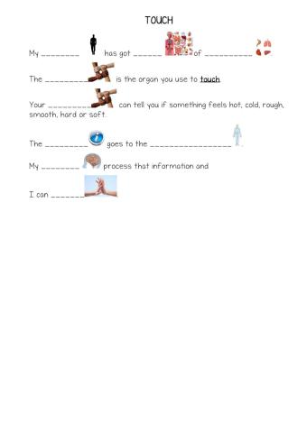 Touch sense and locomotor system
