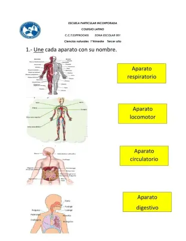 Examen ciencias naturales 1° trimestre