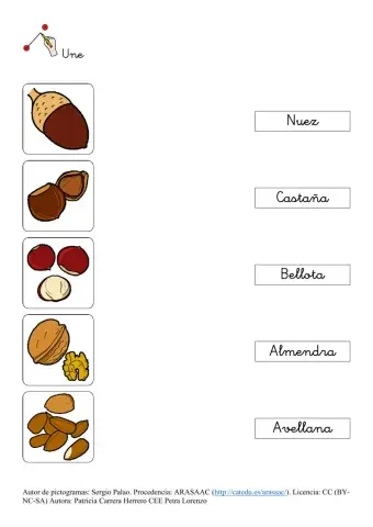 SA Otoño. Unir frutos secos y nombre (lectura y escucha)