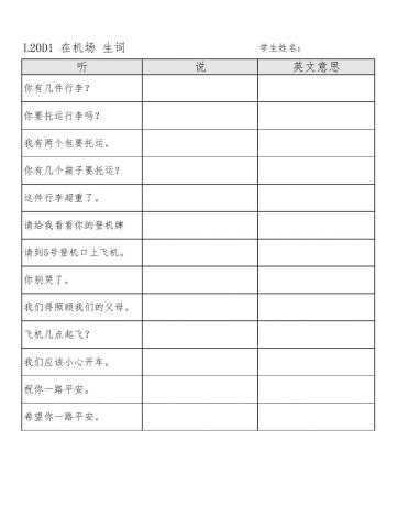 L20D1 At the airport vocab speaking