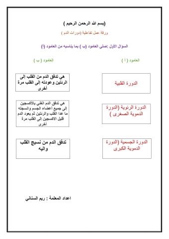 دورات الدم