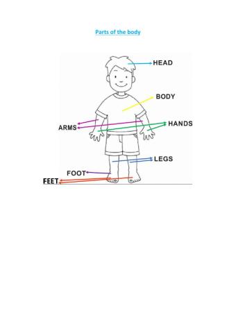 Parts of the body