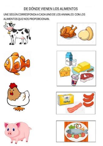 Los animales y sus derivados