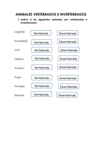 Animales vertebrados e invertebrados