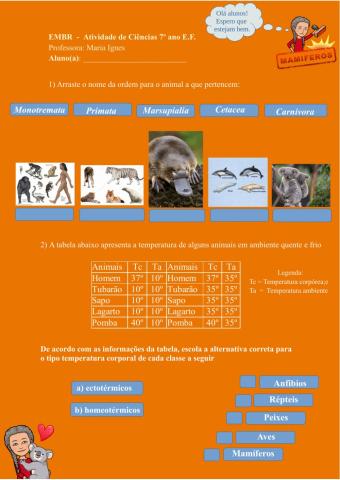 Questões sobre mamíferos e animais vertebrados