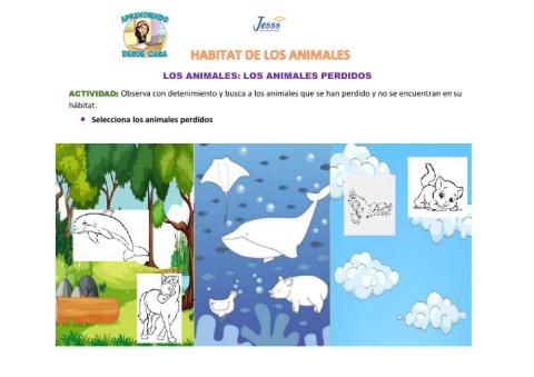 Animales perdidos