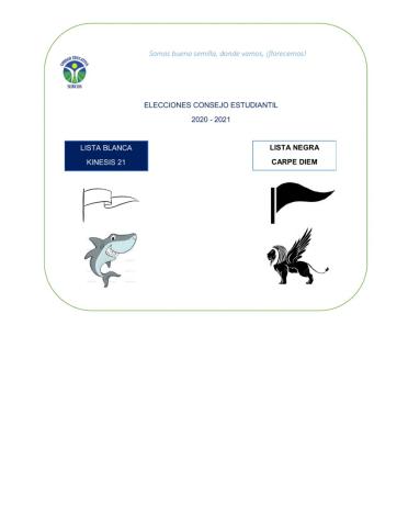 Papeleta de votación