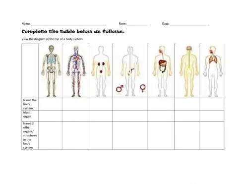 Body Systems