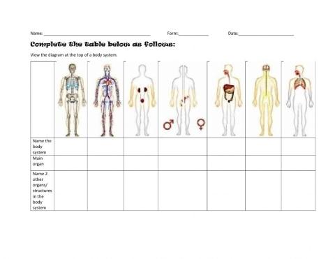 Body Systems