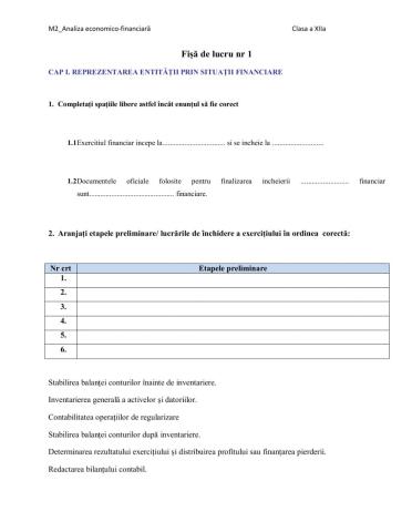 Reprezentarea entitatii prin situatii financiare