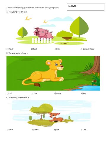 Animals and their young ones