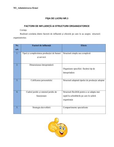 Factorii de influență ai SO