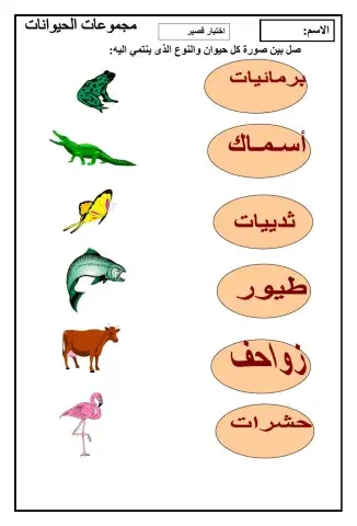 مجوعات الحيوانات