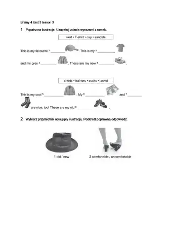 Brainy 4 unit 3 lesson 3