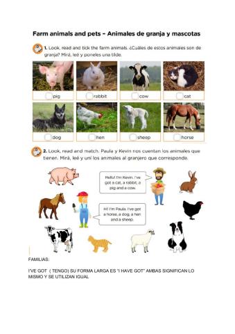 Animals in the farm