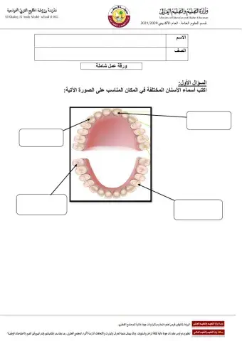 علوم شاملة الفصل الدراسي الأول