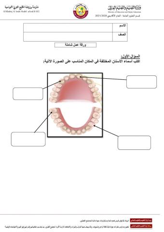 علوم شاملة الفصل الدراسي الأول