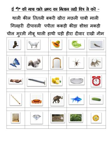 ई की मात्रा वाले शब्द