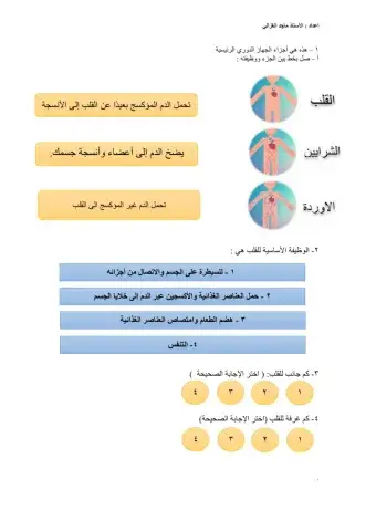 نشاط ختامي عن درس القلب
