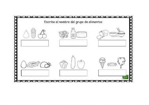 Grupos de alimentos