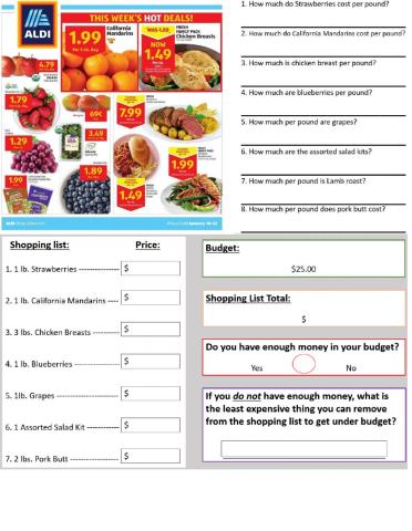 ALDI Circular Math and Budgeting